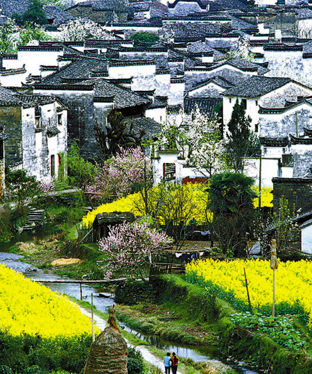 如何拍攝油菜花？達(dá)人教你7個(gè)拍攝技巧