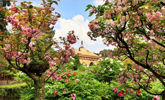 麻辣冬日二三五，芳菲三月看峨眉