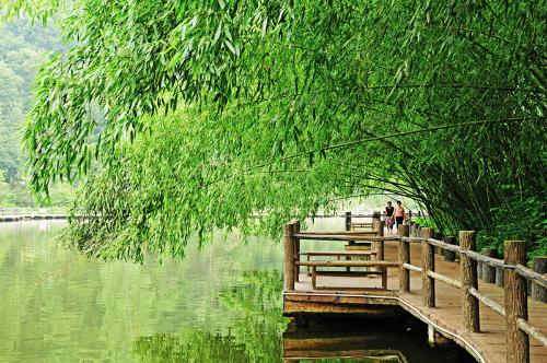 陽(yáng)春三月 河南登山好去處