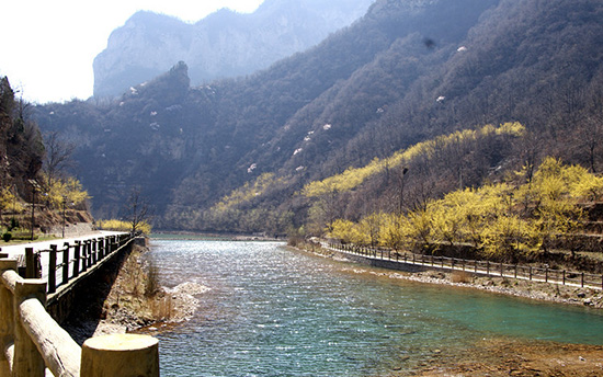 有一種呼喚，叫春天里的蟒河！