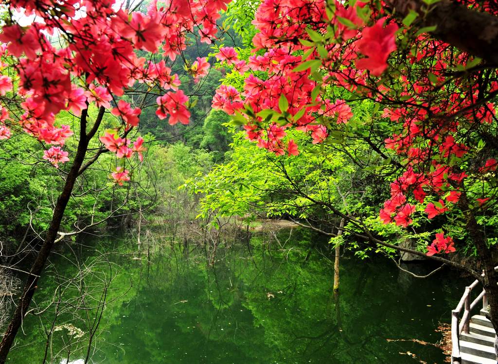 母親節(jié)河南景區(qū)優(yōu)惠大波來襲！