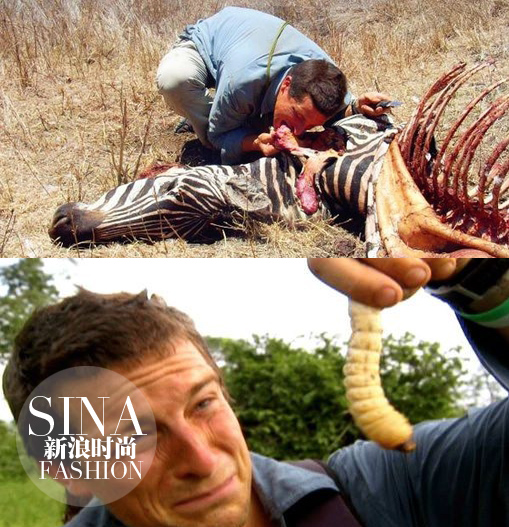 大型動物和肉蟲子……也都能生吞活剝！