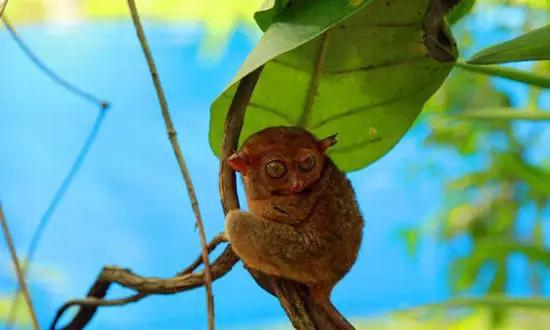 適合在冬天旅游的十個絕美海島！