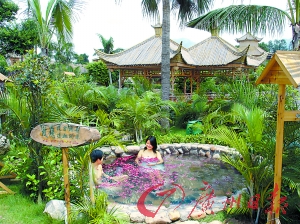 溫泉區(qū)樹木蔥蔥。