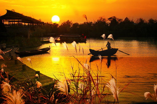 樂(lè)享綠色夏日 濕地公園生態(tài)親水之旅