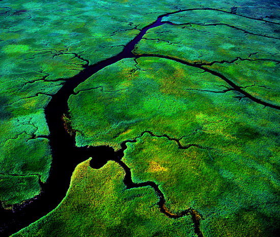 樂(lè)享綠色夏日 濕地公園生態(tài)親水之旅