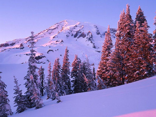 華盛頓，雷尼爾山