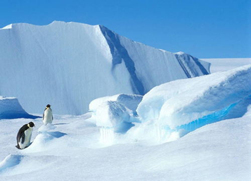南極 深寒極限中的極限探險(xiǎn)