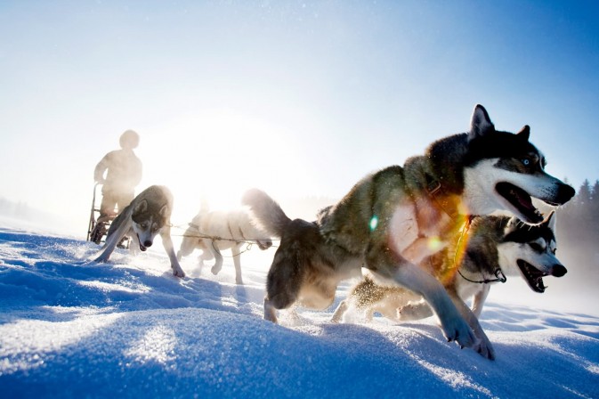 冬季貝加爾,適合享受冰上運(yùn)動(dòng),狗拉雪橇、雪上摩托車、雪地徒步等都是不錯(cuò)的選擇 F5.6,1/115秒