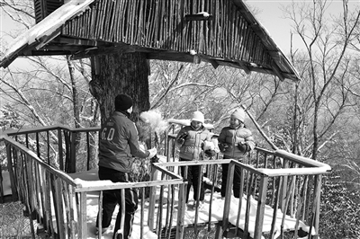 　　clubmed里有來(lái)自國(guó)外的滑雪教練教兒童滑雪?！? oldsrc=