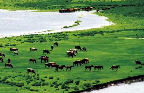 　　處處翠色欲流,馬兒自然入畫?！? complete=