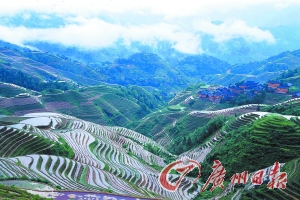 　　龍勝梯田大氣而立體。