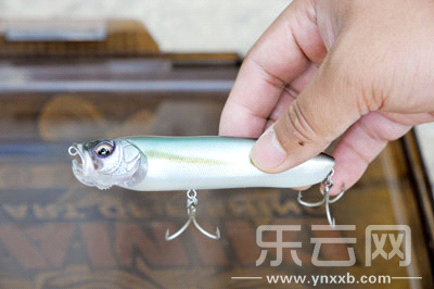 　　又稱擬餌釣魚,起源于歐洲,國內(nèi)翻譯為“路亞”。