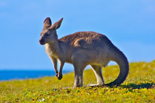 全家出國游去哪里？推薦十佳旅游勝地