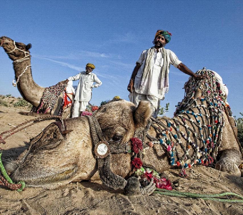 全家出國游去哪里？推薦十佳旅游勝地