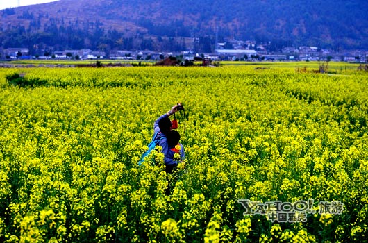　　不論從人文氣息還是田園自然風(fēng)光,都值得我們?？?。(圖片來源:CFP)