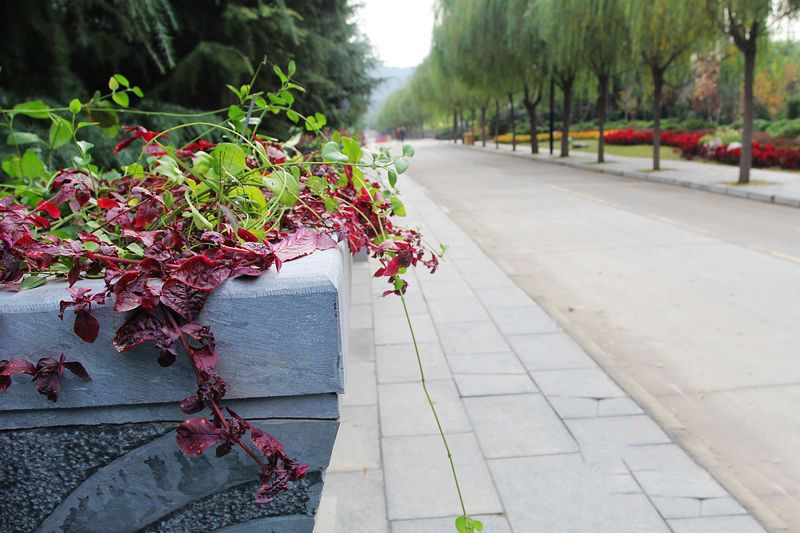 初冬旅游正此時 騎行走進(jìn)黃河風(fēng)景名勝區(qū)