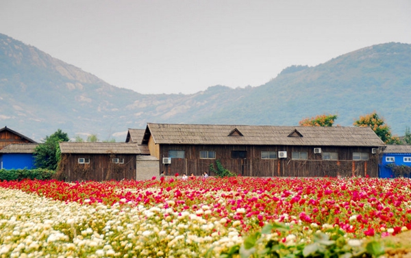 別樣蜜月，河南最適宜新婚度假的景區(qū)