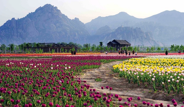 別樣蜜月，河南最適宜新婚度假的景區(qū)