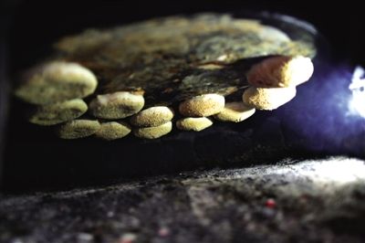 吊爐燒餅是黃驊最典型的面食之一，這種手藝在一些老院子里已經(jīng)傳承了上百年時間。