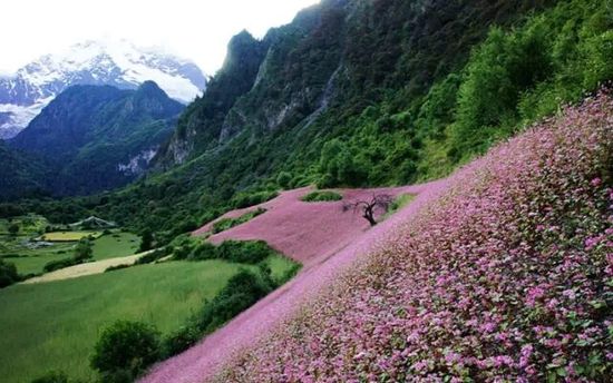 云南的另一個天堂 我約你一起去！
