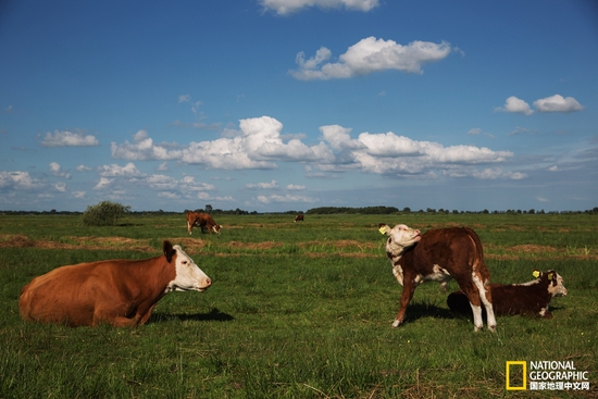 羊角村：童話(huà)般的中世紀(jì)村落