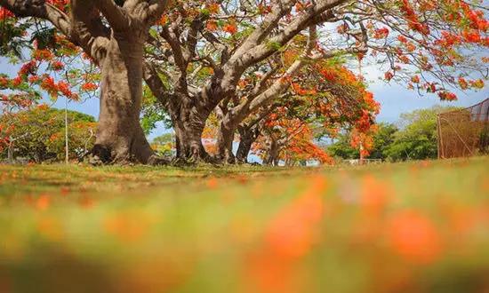 適合在冬天旅游的十個(gè)絕美海島！
