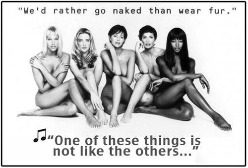 時尚圈第一組群?？棺h皮草大片