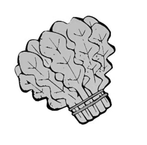 雪后菜價(jià)瘋漲15倍？沒(méi)恁夸張 元旦豬肉雞蛋或漲價(jià)