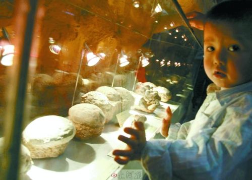 恐龍蛋，這回見識了吧！