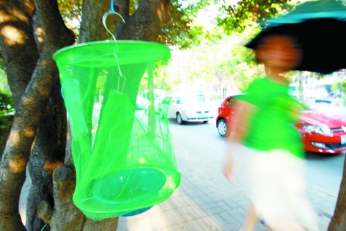 鄭州大范圍懸掛捕蠅籠 數(shù)日內(nèi)丟失一半以上 鄭州大范圍懸掛捕蠅籠 數(shù)日內(nèi)丟失一半以上