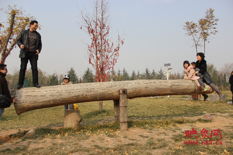 巨大的蹺蹺板，一棵樹。。?？赐娴亩噜? oldsrc=