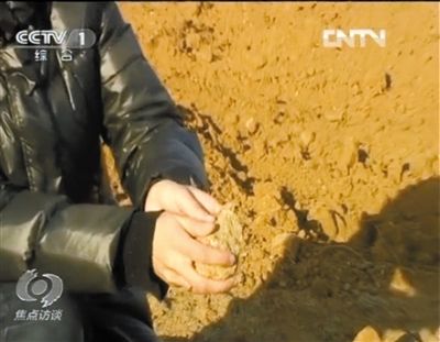 麻剛沙系麻剛石粉碎而成。記者找到一塊麻剛石，一捏就碎成粉末，硬度非常差。央視截圖