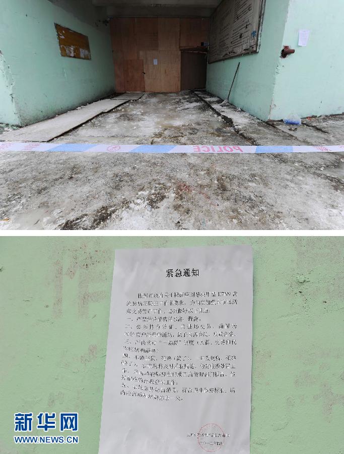 上海6日起暫?；钋萁灰?關(guān)閉所有活禽交易市場