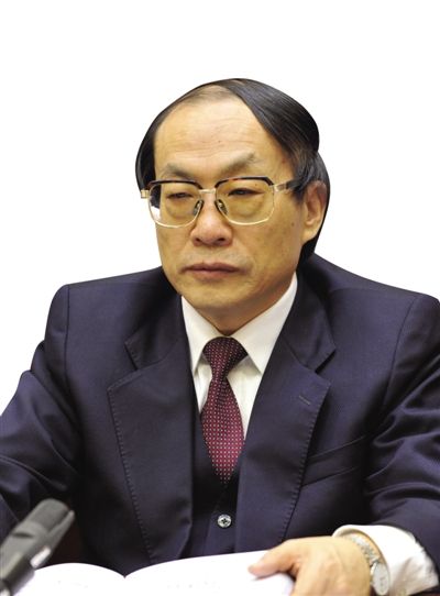 劉志軍（資料圖片）。新華社發(fā)