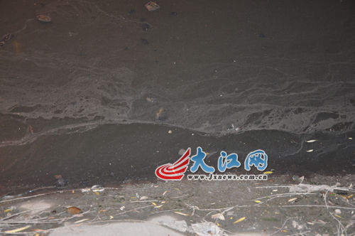 19日晚上的玉帶河，紅色河水變回灰綠色。