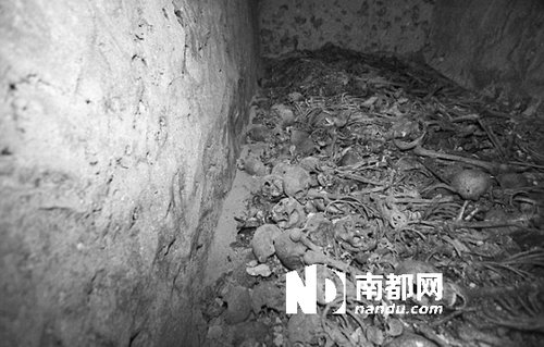 　5月29日，在以色列特拉維夫市雅法地區(qū)，一處集體墳?zāi)贡话l(fā)現(xiàn)。