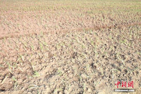 2014年7月31日早晨，浙江紹興市區(qū)蔬菜批發(fā)市場(chǎng)旁邊的土地已經(jīng)發(fā)生開(kāi)裂。