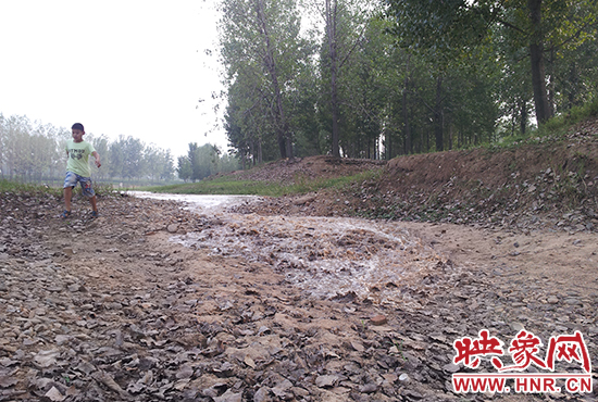 18日丹江水沿澎河流向白龜山水庫，孩子歡騰起來，跟著水頭奔跑。