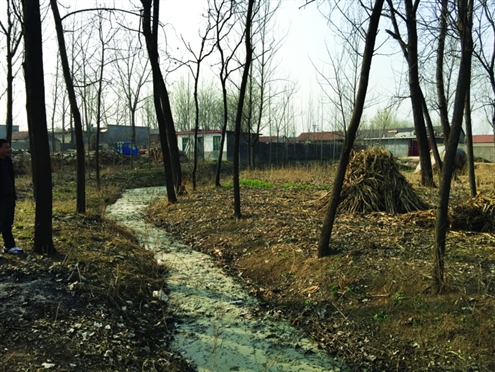 486臺(tái)兒莊戰(zhàn)役將士埋骨荒野 紀(jì)念設(shè)施或年內(nèi)落成 486臺(tái)兒莊戰(zhàn)役將士埋骨荒野 紀(jì)念設(shè)施或年內(nèi)落成