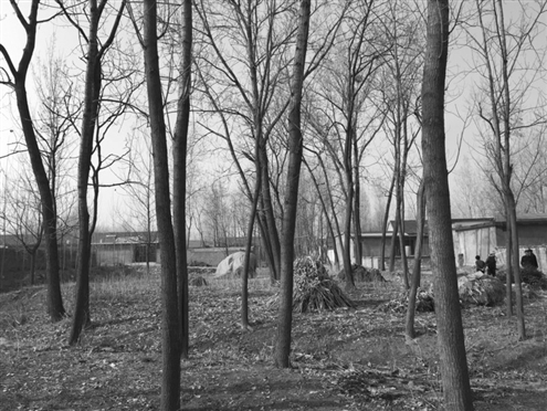 486臺(tái)兒莊戰(zhàn)役將士埋骨荒野 紀(jì)念設(shè)施或年內(nèi)落成 486臺(tái)兒莊戰(zhàn)役將士埋骨荒野 紀(jì)念設(shè)施或年內(nèi)落成