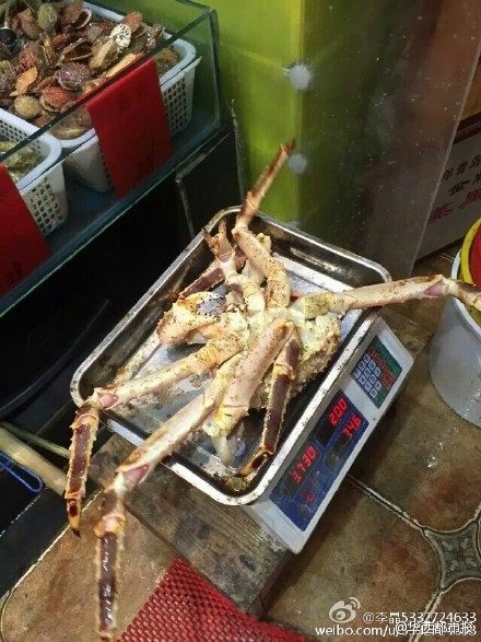 網(wǎng)友提供圖片。