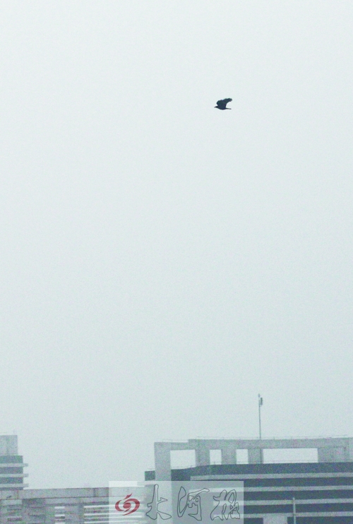 全省35個(gè)縣市發(fā)布惡劣天氣預(yù)警信號(hào)，其中15個(gè)發(fā)布大霧紅色預(yù)警