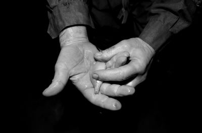 圖為科考人員發(fā)現(xiàn)的洞穴動物（3月2日攝）。