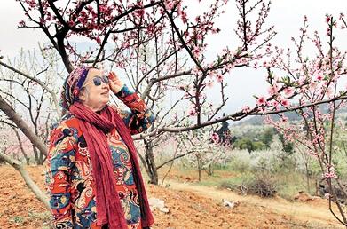 公式“時(shí)尚奶奶”的賞花照，收獲了好多人的點(diǎn)贊。 受訪者供圖