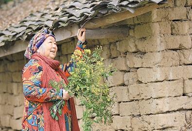 公式“時(shí)尚奶奶”的賞花照，收獲了好多人的點(diǎn)贊。 受訪者供圖