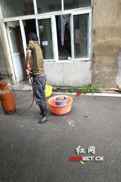 5月8日，男子在校園里殺狗，地上殘留一塊血跡。目擊者供圖。