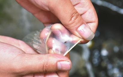 避孕套存在小孔。