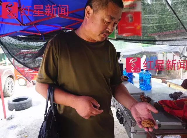 文玩核桃遇冷由幾萬(wàn)一對(duì)降到5元沒(méi)人要？商戶否認(rèn)