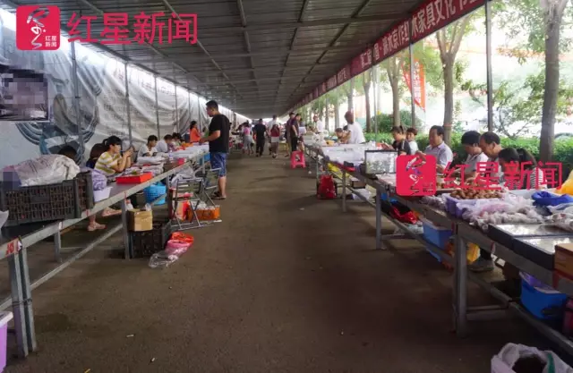 文玩核桃遇冷由幾萬(wàn)一對(duì)降到5元沒(méi)人要？商戶否認(rèn)